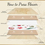 GTQYYF Large Flower Press Kit 10.8 x10.8 inches with Storage Bag,Solid Wood Flower Press Kit - DIY Arts and Craft Kit 10 -Layers, Ideal Gift for Flower & Plant Lovers GTQYYF