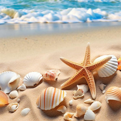 Bimkole 5D Diamond Art Kits for Adults Beach Landscape, Full Drill Sun Sea Starfish DIY Rhinestone Embroidery Set Paint with Diamonds Art by Number Kits Cross Stitch Home Wall Craft Decor 12x12 in