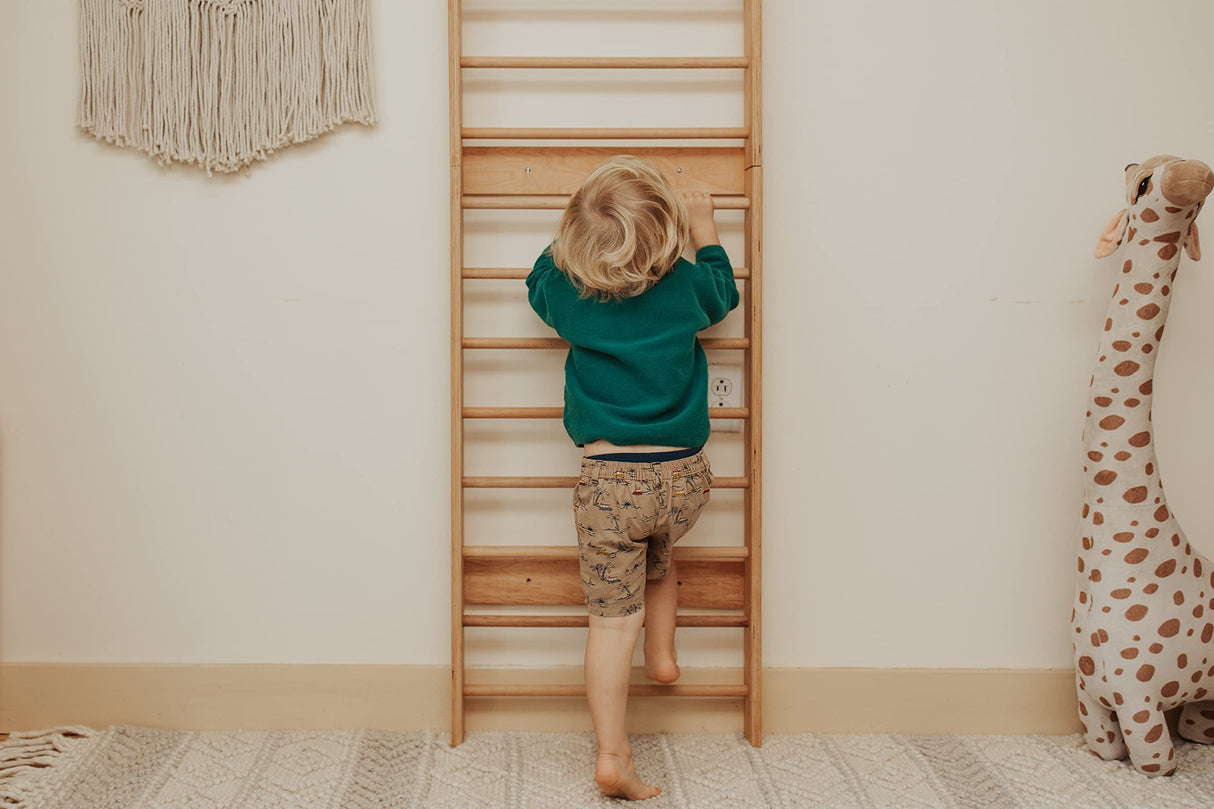 WOOD&ROOM Indoor Montessori Swedish Stall Bars Climbing Wall for Toddlers with Climber Ramp Wooden Swedish Ladder Stall Bars Climber for Kids Gymnastic Wall (no Slide) WOOD&ROOM