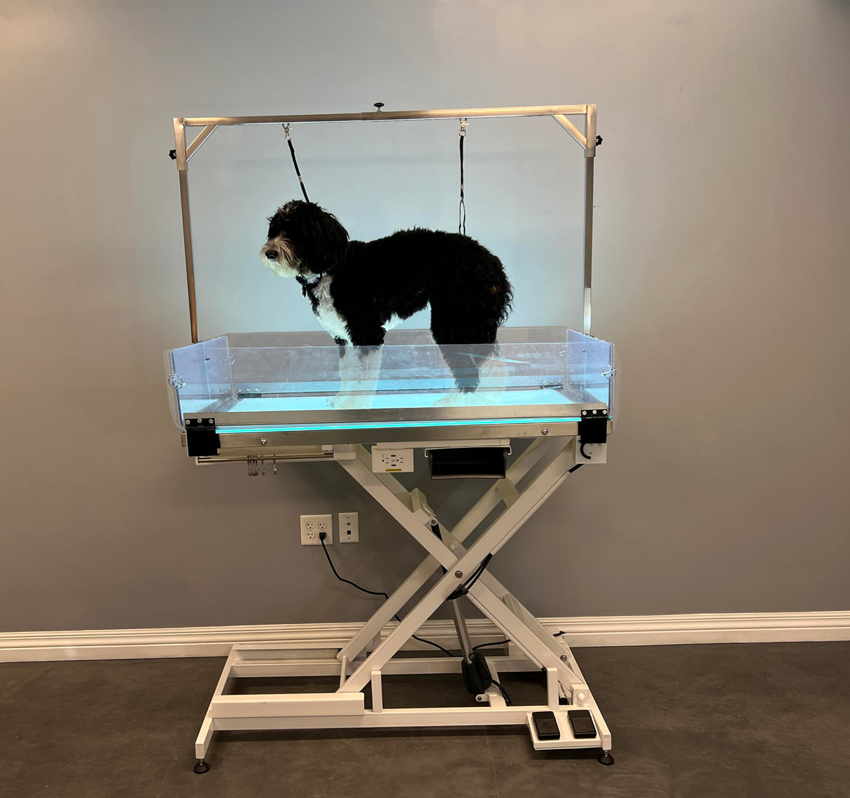 Cove Products LED Lit Master Groomer Electric Lift Grooming Table (Complete Package) Cove Products