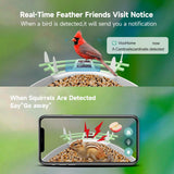 Smart Bird Feeder with Camera,AI Identify Bird Species,Auto Record 2K Birds Video in Backyard Garden,Live View,Solar Powered Charging,Ideal Gifts for Family and Bird Lovers (Green) Aprilmin