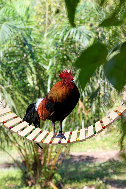 Vehomy Chicken Coop Toy Chicken Toys for Hens Natural Wood Chicken Ladder Chicken Swing Chicken Perch for Birds Poultry Rooster Chicks L