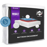 Queen Size Mattress Encasement Deep Pocket, Dustmite Protector, Cover 15-18 Inch, 3M Scotchgard Degrees of Comfort