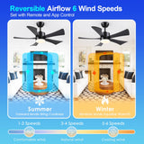 42 inch Ceiling Fans with Lights, Modern Black Ceiling Fan with Remote Control App, DC Motor Quiet, 3CCT Dimmable Memory, Led Sloped Flat Ceiling Fan with Light for Bedroom Indoor&Outdoor Patio BayDay