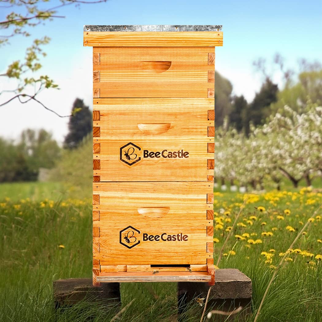 BeeCastle 10 Frame Langstroth Bee Hive Coated with 100% Beeswax Includes Beehive Frames and Waxed Foundations (2 Deep Boxes & 1 Medium Box) - WoodArtSupply