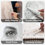 Aenir Blending Stumps for Drawing, Tortillons Blending Stumps Set of 13 Pack with Sandpaper Pencil Sharpener, Paper Art Blenders Tools for Charcoal, Graphite, Drawing Tools for Artists. (13) Aenir