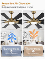 Curve Curio 60 Inch Ceiling Fans with Lights, Black and Gold Modern Ceiling Fan with Remote Control for Living Room Kitchen, 3 CCT, 6 Speed Reversible DC Motor Curve Curio