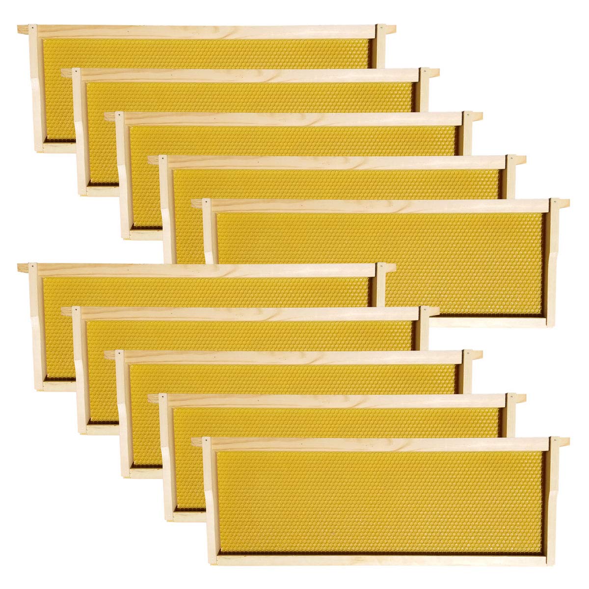 Hoover Hives - Medium Frames & Foundations (20 Pack) - Langstroth Beehive Wooden Frames, Natural Honey Colored Food Grade Plastic Foundations Dipped in Natural Beeswax Hoover Hives