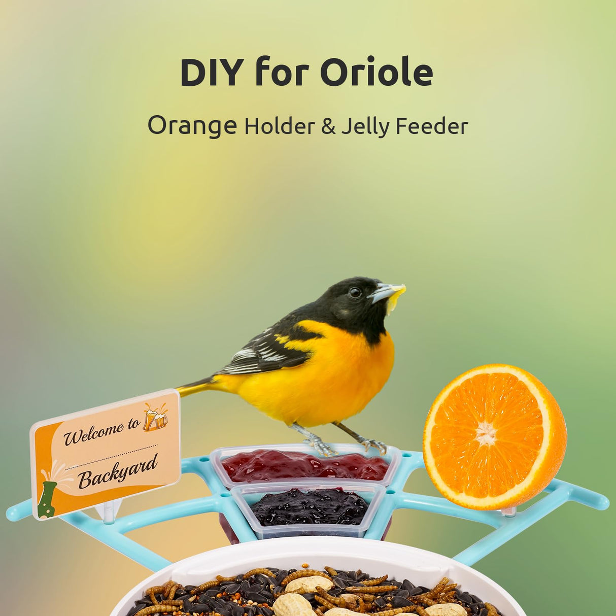 NETVUE Birdfy Pro - Bird Feeder with Camera, Wider Perch DIY Add-ons, Hummingbird Feeder, Suet Ball, Jelly Feeder, Auto Capture Bird Videos & Motion NETVUE