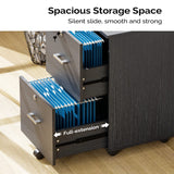 VINGLI 2-Drawer Small Rolling File Cabinet with Lock, Wood Filing Cabinet for Hanging Letter Size Filings with Tabs, Mobile Under Desk File Cabinet for Home Office, Classic Black, 27.2" H VINGLI