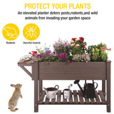 Aivituvin Raised Garden Bed, Elevated Plant Boxes Outdoor Large with Grow Grid - with Large Storage Shelf 52.7" x 22" x 30" Aivituvin