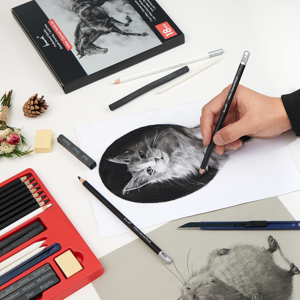 Brusarth Charcoal Pencils for Drawing, 18 Pcs Art Pencil Kit, Professional Sketching Pencil, Art Supplies for Drawing, Shading, Sketching, Blending, Artist Pencils for Beginners & Artists Brusarth