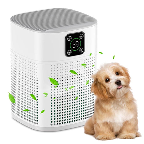 Air Purifiers for Bedroom, Honeyuan H13 HEPA Air Purifier for Home Large Room 600 sqft, Air purifiers with 360°Air Intake, 3 Fan Speeds, 3-Stage Filtration, White Honeyuan