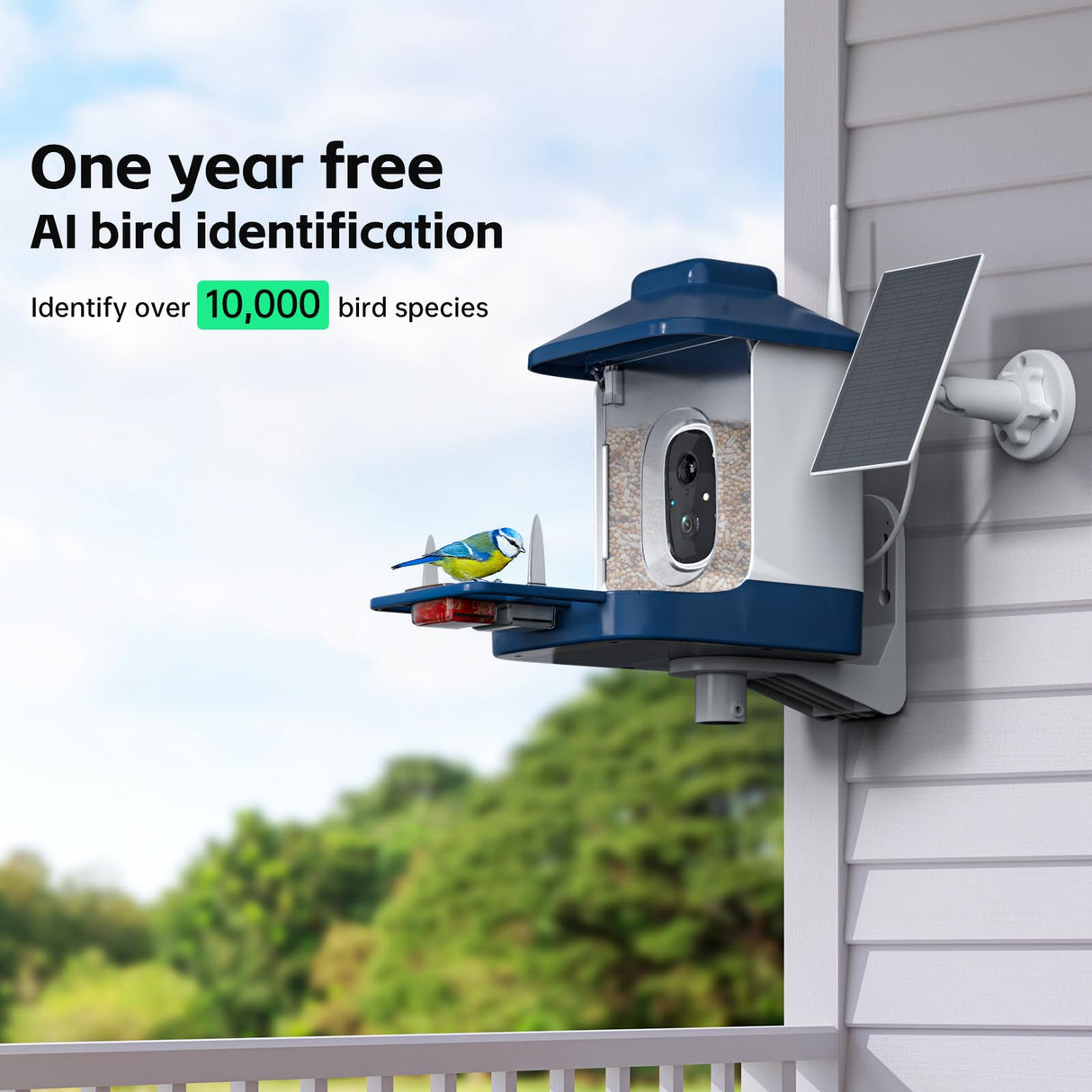 Smart Bird Feeder with Camera, 1 Year AI Camera Bird Feeders for Outdoors, Solar Powered, 2.4Ghz WiFi, 1080p Live Video Bird Feeder Camera, Nstant Arrival Alerts - Best Gifts for Bird Lovers NAVFS
