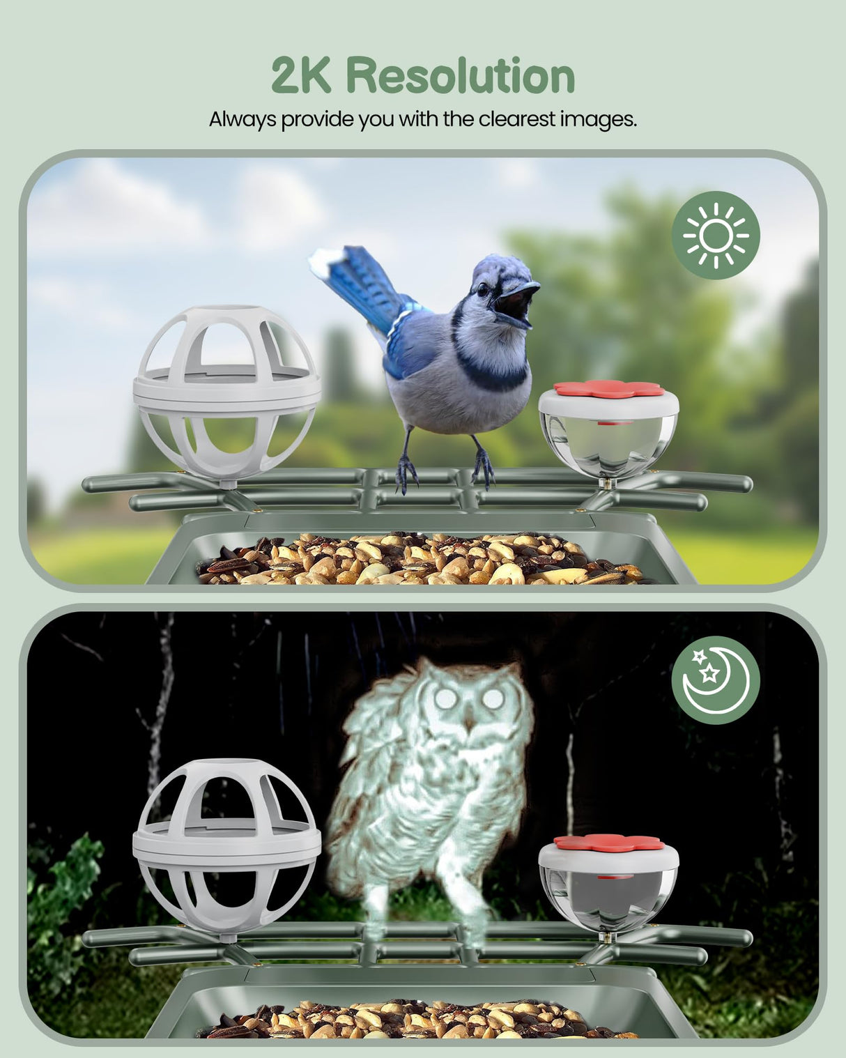 PEEIPM Bird Feeder with Camera Solar Smart Bird House with Camera Outdoor Garden Feeders for Bird Auto Capture Bird Videos Wild Birds Watching Cam 2K Resolution AI Recognition Visible Window PEEIPM