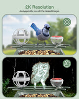 PEEIPM Bird Feeder with Camera Solar Smart Bird House with Camera Outdoor Garden Feeders for Bird Auto Capture Bird Videos Wild Birds Watching Cam 2K Resolution AI Recognition Visible Window PEEIPM