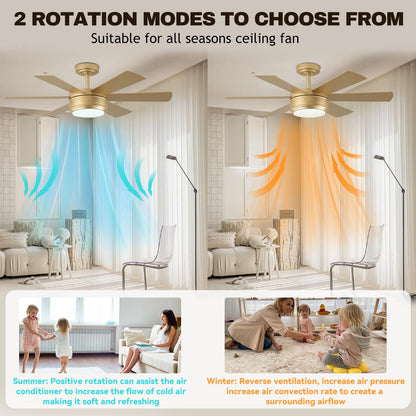 42 Inch Ceiling Fan with Lights and Remote, 6 Blade App Control Timer Reversible Stepless Brightness and Color Temperature Outdoor Wood Ceiling Fan with Lights (Gold, 42 Inch)