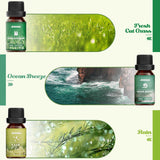 Nature Essential Oils Set, ARVIDSSON Natural Fragrance Oils for Candle Making, Fresh Cut Grass, Ocean Breeze, Rain, Pine, Sandalwood, Oakmoss, Diffuser Scented Oils ARVIDSSON