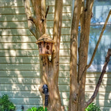 Wooden Birdhouses for Outside, Hanging Birdhouse, Cardinal Bird House Nesting Box, Natural Wood Bluebird Houses for Outdoors Finch Bluebird Cardinals, Garden Decoration DoubleWood