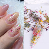 3D Dried Flower for Nails, Flower Nail Art Stickers 1Box Mixed Dried Flowers for Nail Art Resin DIY Crafts Natural Real Dry Flower Decals for Spring Summer Manicure Nail Art Decorations (Style3) SINSEN