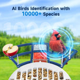 Byranke Smart Bird Feeder with Camera, Bird House with Camera Solar Panel AI Identification Bird Species, Bird Video & Motion Detection, Bird Lover Ideal Gift. BYRANKE