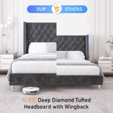 Hlivelood Queen LED Upholstered Bed Frame with Wingback Headboard, Velvet Diamond Button Tufted Bed Frame w/USB&Type-C Ports, Pocket and LED Lights, Wood Slats Support, No Box Spring Needed, Dark Grey Hlivelood