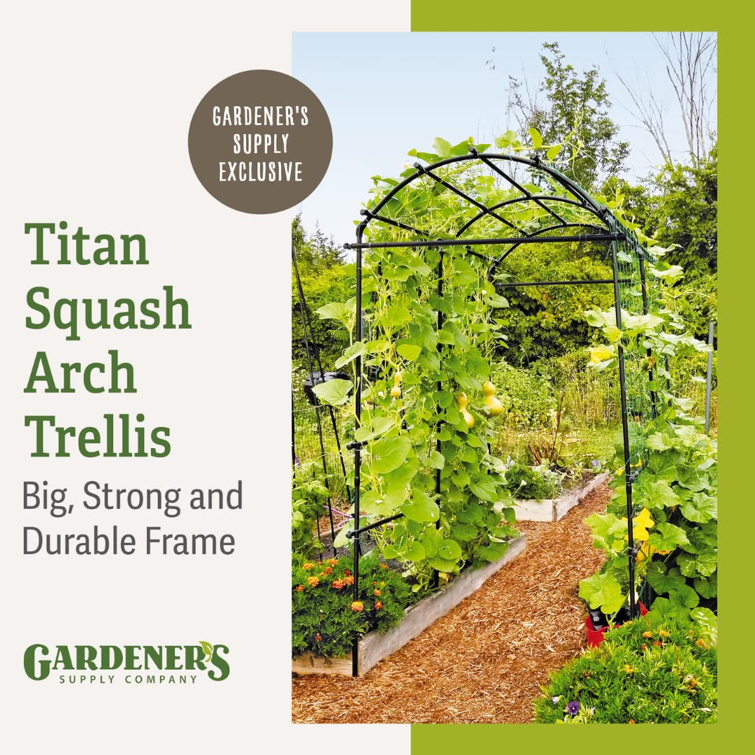 Gardener’s Supply Company Extra Tall Garden Arch Arbor | 80 Inch Tall Titan Squash Tunnel | Lightweight Metal, Trellis Plant Stand for Climbing Vines | Outdoor Lawn Tower & Support Structure Gardener's Supply Company