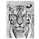 NAIMOER Tiger Diamond Art Kits for Adults,5D Diamond Art Tiger Kits DIY Full Drill Animals Diamond Art Kits for Home Wall Decoration Gifts (30X40cm) NAIMOER