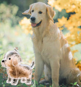 Dog Hair Collector Keychain Charm Memorial Storage Box, Pet Hair Memorial Keepsake, Transparent Cute Keychain Generic