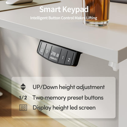 Agilestic Electric Standing Desk, 48 x 24 Inches Height Adjustable Desk, Sit Stand up Desk for Work Office Home, Ergonomic Rising Computer Table with Memory Preset, White