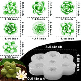 7 Cavity Succulent Candle Mold for Candle Making, 3D Succulents Silicone Molds for Scented Candle Soaps Making, Wax, Resin Casting, Dessert Mousse Cake Decoration ZQYSING