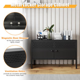 biosp 2 Door Metal Accent Cabinet 25" H Metal Storage Cabinet for Home Office Hallway Entryway Garage Basement, TV Stand for Living Room, Black biosp