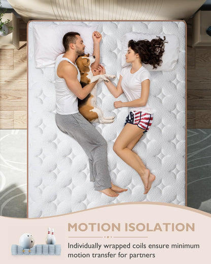 BedStory Queen Mattress - 12 Inch Hybrid Mattress with Individually Wrapped Coils - Pressure Relief and Motion Isolation, Medium Firm