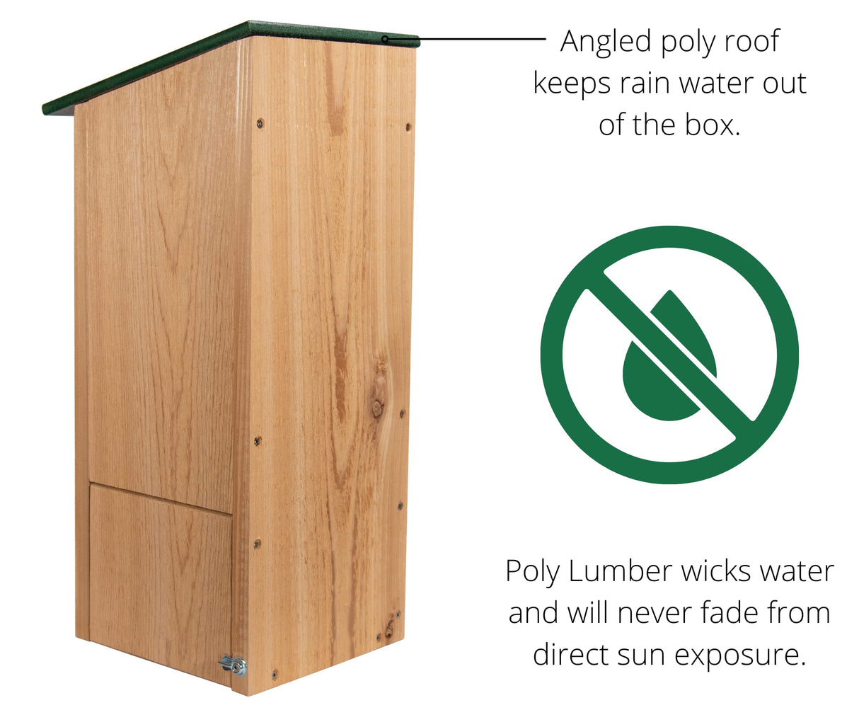 JCs Wildlife Cedar Wood Duck Nesting Box with Poly Lumber Roof - Mount in or at The Water's Edge to Attract Wood Ducks Nearby - Equipped with Clean Out Door and Drainage Holes (Green) JCs Wildlife
