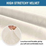 H.VERSAILTEX Stretch Velvet Loveseat Covers for 2 Cushion Couch Covers for Living Room Sofa Covers Slipcovers with Non Slip Straps Bottom, Ultra Thick Comfy Velour (Width 58"-72", Ivory) H.VERSAILTEX