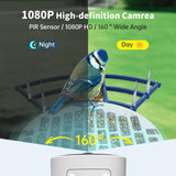 Smart Bird Feeder with Camera Solar Powered & AI Bird Identification, 2.4Ghz WiFi Camera Bird Feeder, 2K Hd Live Video Bird Feeder Camera, Nstant Arrival Alerts - Best Gifts for Bird Lovers NAVFS