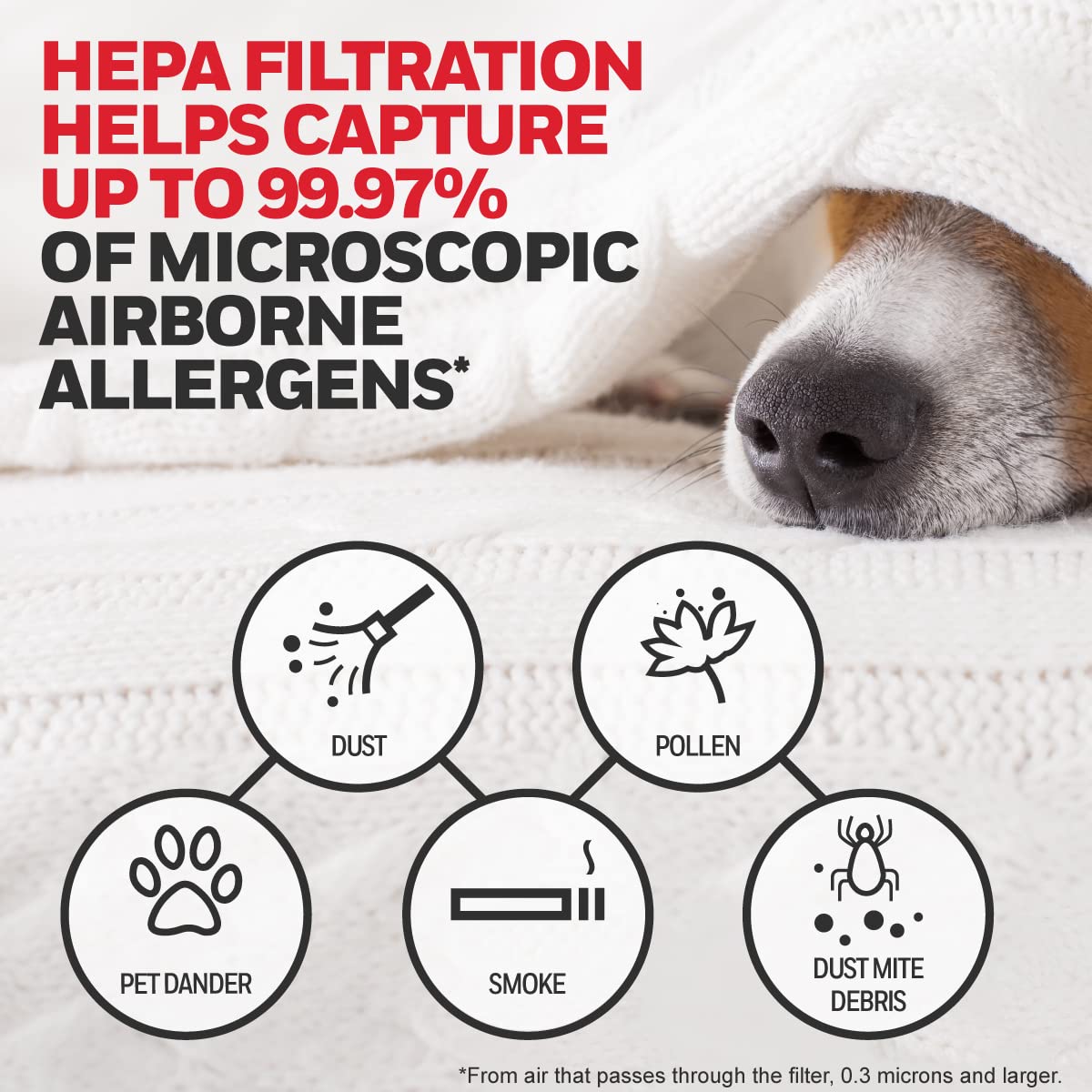 Honeywell HEPA Air Purifier Filter Kit – Includes 3 HEPA R Replacement Filters and 4 A Carbon Pre-Cut Pre-Filters – Airborne Allergen Air Filter Targets Wildfire/Smoke, Pollen, Pet Dander, and Dust Honeywell