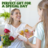 LET’S Resin 3pcs Animal Resin Molds, Large 3D Chicken & Duck Resin Molds Silicone, Flexible Effortless Demoldable Epoxy Molds for Resin Casting, Soap, Candle, Flowers Preservation, Chicken Decor LET'S RESIN