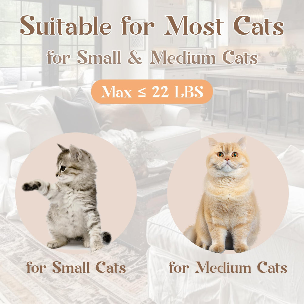 Modign Stainless Steel Litter Box with Lid,Large Foldable Litter Box with Lid,Covered Top Entry Litter Boxs,Enclosed Cat Litter Boxs with Litter Scoop for Big and Small Cats(Gray) Modign