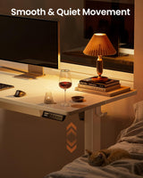 ErGear Electric Standing Desk with Drawers, 48" x 24" Height Adjustable Desk with 4 Preset, Home Office Computer Table with Splice Board, White ErGear