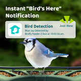 Birdfy 2 Smart Bird Feeder 3 Lenses & 2 Cameras, Dual Angles, Solar-Powered, Wireless Birdwatching, Permanent AI Identify 6000+ Bird Species & Motion Detection, Gift Present Birdfy
