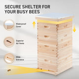 CREWORKS Bee Hive Boxes Starter Kit, Langstroth Beehive for Bee Keeping, 4 Layer Bee House with 20 Medium and 20 Deep Frames & Foundations, Beekeeping Supplies with Plastic Queen Excluder and Nails CREWORKS
