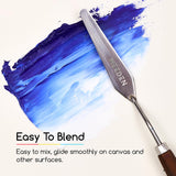 MEEDEN Oil Paint Set - 12 x 22ml (0.74 oz) Color Oil Paints for Adults Students Beginners- Rich Pigment Art Paints for Canvas Painting MEEDEN