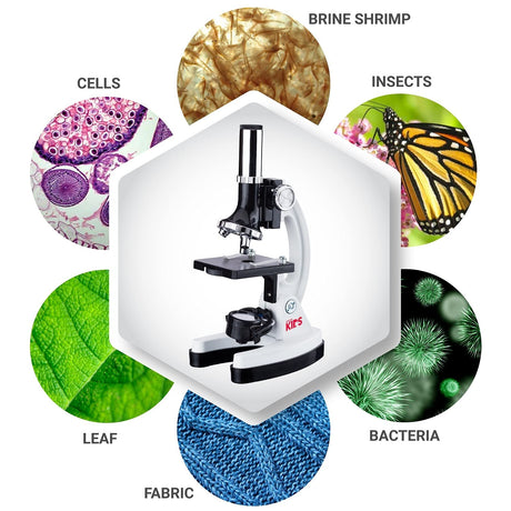 AmScope 120X-1200X 52-pcs Beginner Microscope STEM Kit with Metal Body Microscope, Plastic Slides, LED Light and Carrying Box (M30-ABS-KT2-W),White AmScope