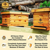 Hoover Hives 8 Frame Beehive Kit - Dipped in 100% Beeswax Includes Wooden Frames & Waxed Foundations (2 Deep Boxes, 1 Medium Box) Hoover Hives