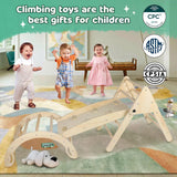 Pikler Triangle Toddler Climbing Toys Set, 5 in 1 Foldable Wooden Indoor Triangle Set with Triangle Ladder, Climbing Ramp, Arch Climber, Rocker, and Slide for Montessori Gym Toys for Kids (Small) BSZGYU