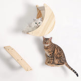 Cat Shelf for Wall Mount Hammock with Climbing Shelves and Perches Solid Wood Cat Steps for Climbing Sleeping Playing Lounging Perching Paw Clap