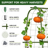 HIRALIY Cucumber Trellis for Climbing Plants Outdoor, 5 ft Tall Metal Garden Trellis, Arch Tunnel for Tomato Grape Vine Vegetables, Plant Support Archway for Garden Raised Bed, Green HIRALIY