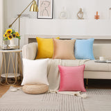 JIAHANNHA Velvet Brown Throw Pillow Covers Pack of 2 Spring Decorative Soft for Couch Sofa Bed Livingroom Office 18×18 Inches JIAHANNHA