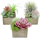 Mingfuxin Succulents Plants Artificial, Mini Assorted Green Fake Plants in Pots, Small Artificial Succulent Plant with Wood Potted for Bathroom Home Office Living Room Table Decor Indoor, Set of 3 Mingfuxin